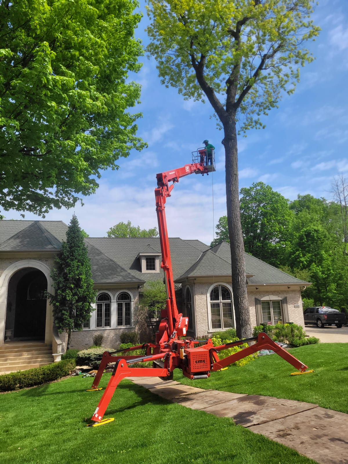 Eduardo's Tree Service work site